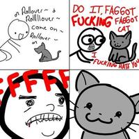 rolover_cat.jpg