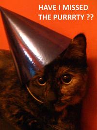 cat planet