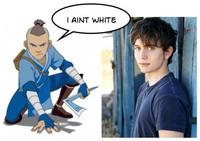 Racebending (The Last Airbender Casting Controversy)