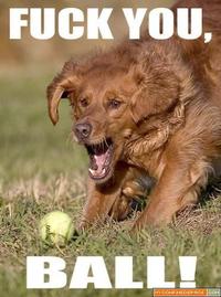 fuck-you-ball.jpg