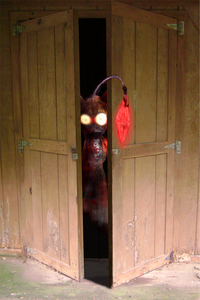 The Tails Doll