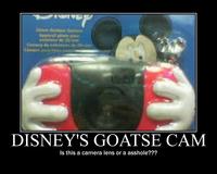 Goatse