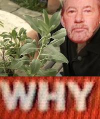 Tony Kornheiser's "Why"
