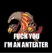 I'm an Anteater!!!