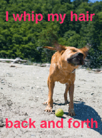 I Whip My Hair Back and Forth