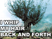 I Whip My Hair Back and Forth