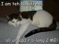 TEH
