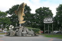 800px-Gore_New_Zealand.jpg