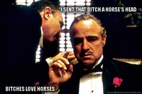 Bitches Love X