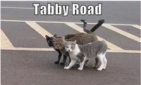 Abbey Road Parodies