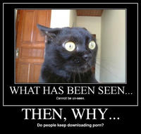 What Has Been Seen Cannot Be Unseen