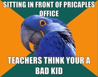Paranoid Parrot