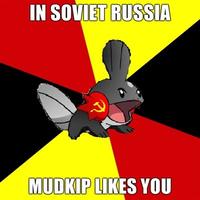 I Herd U Like Mudkips