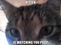 Jeff Goldblum is Watching You Poop
