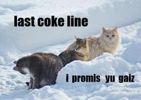 LOLcats