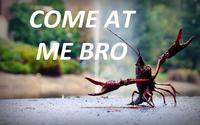 COME AT ME BRO