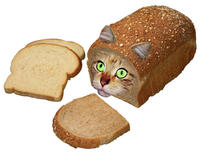 CatBread / Nekopan
