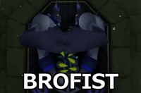 Bro Fist