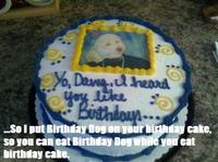 Birthday Dog