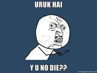"Y U NO" Guy