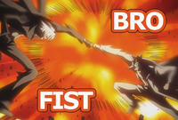 Bro Fist