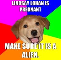 Advice Dog
