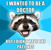 Lame Pun Coon