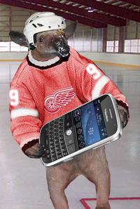 I'm an Anteater!!!