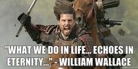 Troll Quotes