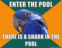Enter-the-pool-there-is-a-shark-in-the-pool