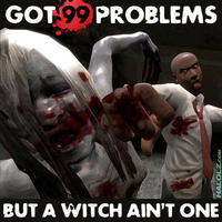 I Got 99 Problems But a Bitch Ain't One