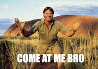 COME AT ME BRO