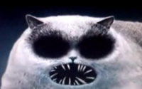 Longcat