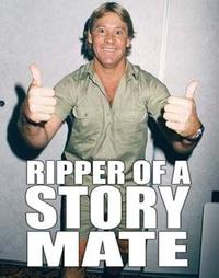 Cool Story, Bro