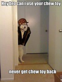 Scumbag Steve