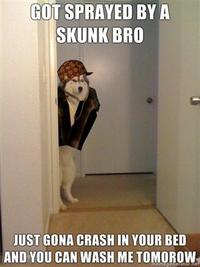 Scumbag Steve