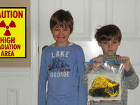 Beyblades eBay Auction