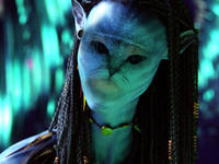 Limecat