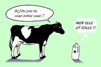 MER IL ET FOU