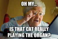 Internet Grandma Surprise