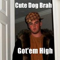 Scumbag Steve