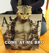 COME AT ME BRO