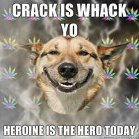 Crack Is Wack