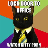 Business Cat