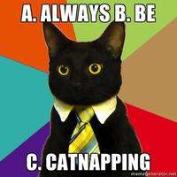 Business Cat
