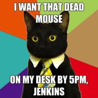 Business Cat