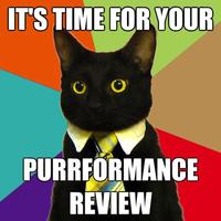 Business Cat