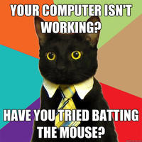 Business Cat