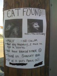IRL Troll Posters