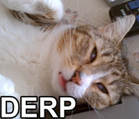 DERP